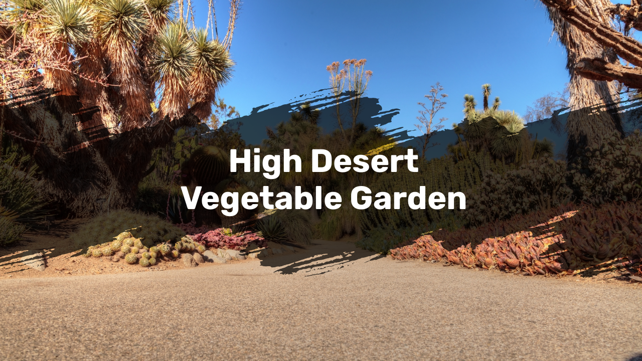 High Desert Vegetable Garden