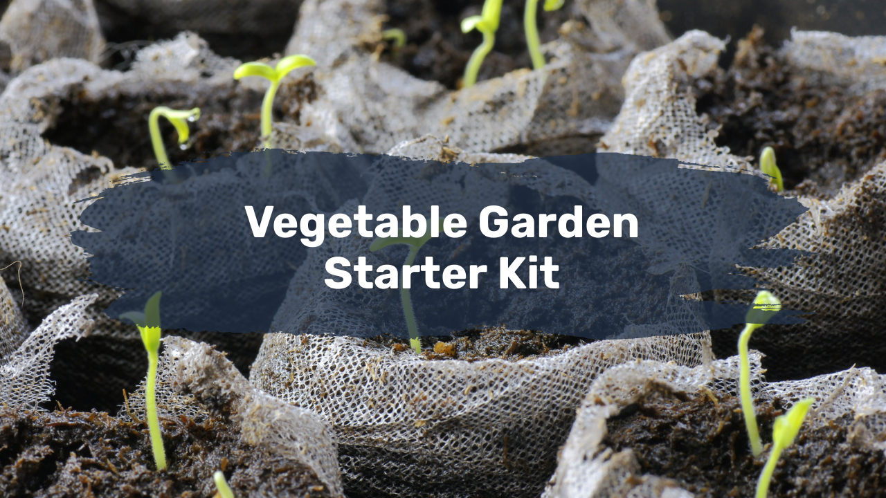 Vegetable Garden Starter Kit