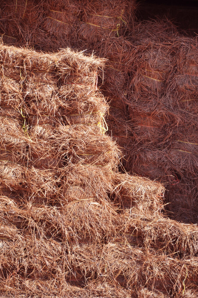 pine straw mulch