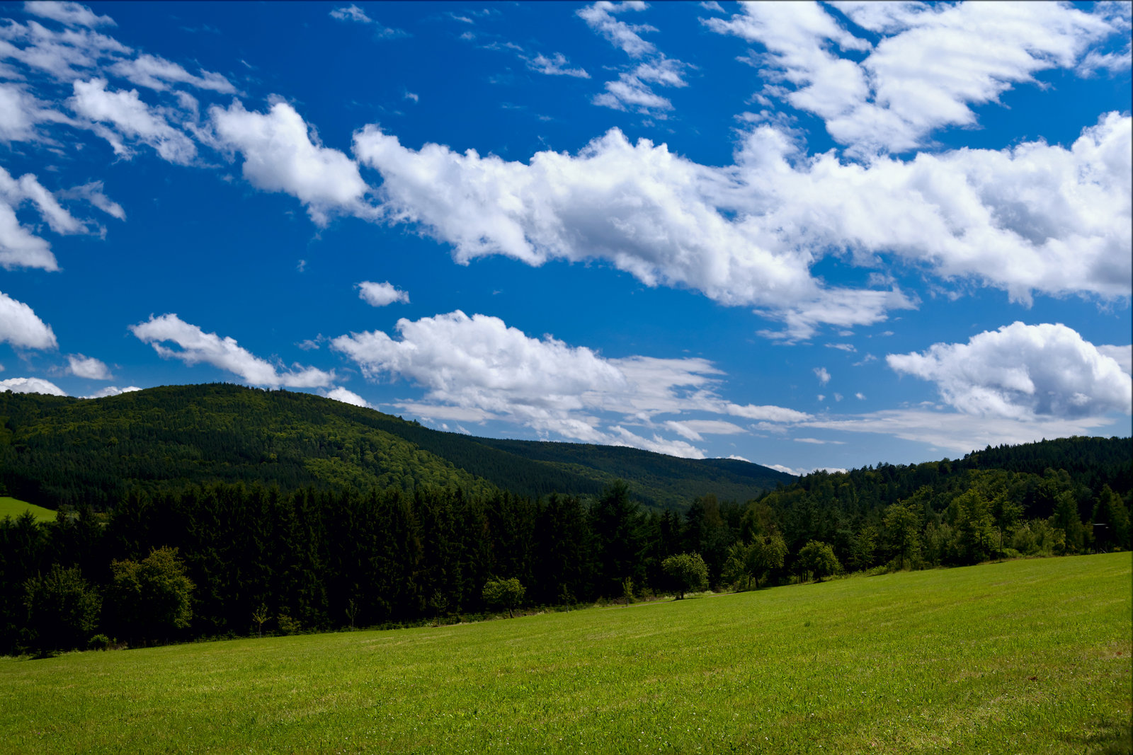 3039387_summer-mountains-covered-with-green-forests